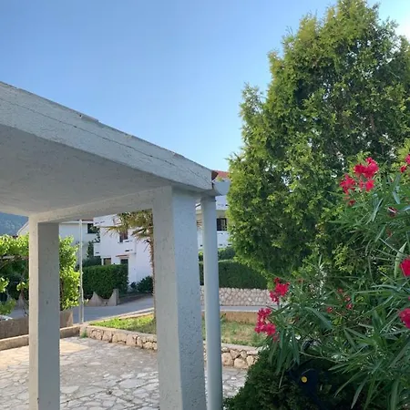 Apartament Vasilić *
